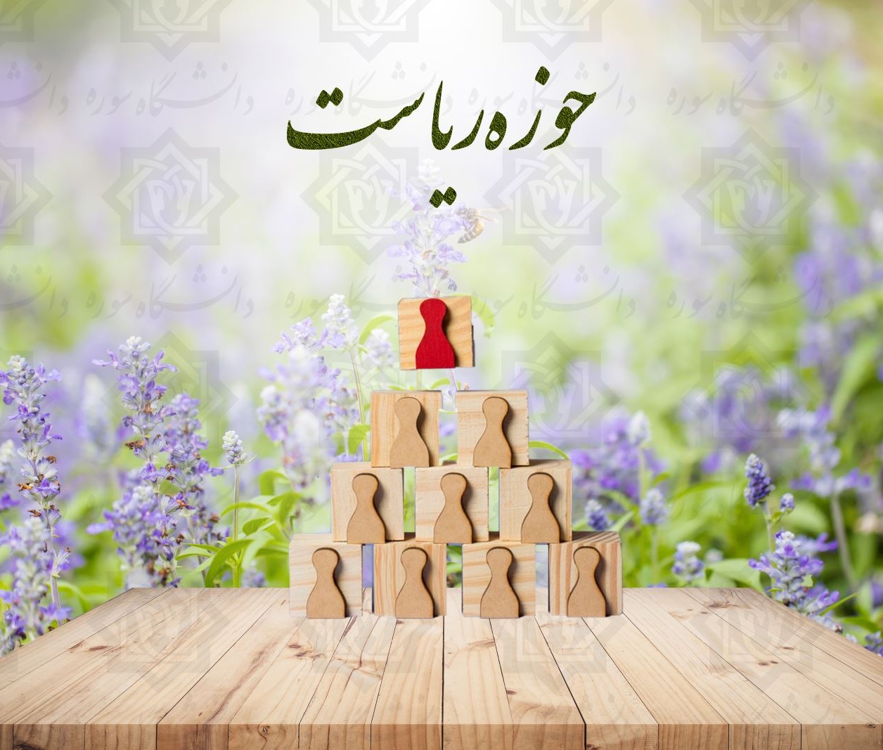 حوزه ریاست